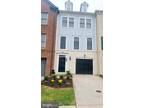 Dandelion Ter Se Unit Basement, Leesburg, Home For Rent