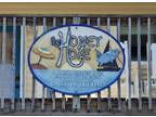 23134 Fresca Street Galveston Texas 77554