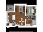Madison Bellevue Apartments - Bainbridge