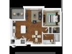 Madison Bellevue Apartments - Sammamish