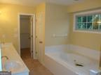The Trl, Stone Mountain, Home For Rent