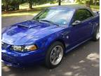 2004 Mustang Convertible