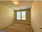 Th St S Unit -, Arlington, Flat For Rent
