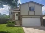 Lowlander Ct, Colorado Springs, Home For Rent