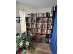 N Sheridan Rd Apt,chicago, Condo For Rent