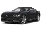 2025NewFordNewMustangNewFastback