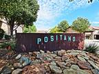 545 Via Amalfi Unit: 301 Irving Texas 75039