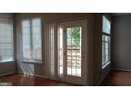 Shelbourne Sq, Chantilly, Home For Rent