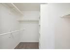 Brandy Ridge Ln, Dickinson, Condo For Rent