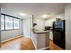 N Orchard St Apt,chicago, Condo For Rent