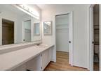 Rosemary Ln Apt,largo, Condo For Rent