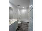 Fringed Bluestar Dr, Rosharon, Home For Rent