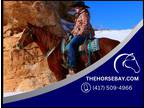 Sorrel AQHA Barrel/Breakaway/Jumping/Lesson/Rodeo/Trail Gelding - Available on