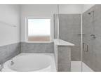 Humble Way Dr, Rosenberg, Home For Rent