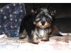 Tucker