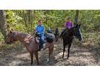 Roan Mare** Lesson program ending