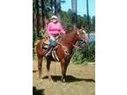 Flashy Zipper Appendix Mare
