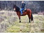 Trail mount. Gypsy cross