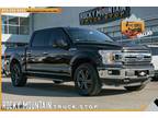 2018 Ford F-150 XLT CREW CAB FX4 / CLEAN CARFAX / 4X4 - Dallas,TX