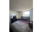 N Lake Shore Dr Apt,chicago, Condo For Rent