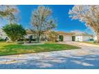 Mallard Dr, Safety Harbor, Home For Rent