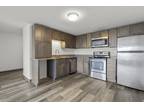 Morgan St Unit,hartford, Flat For Rent