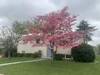 Martin Dr, Richmond, Home For Rent