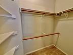 Big Meadow Dr, Cedar Park, Home For Rent