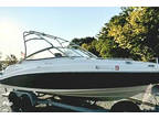 2009 Yamaha AR 230