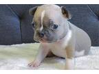 Green collar
