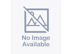 Alaskan Malamute DOG FOR ADOPTION RGADN-1378891 - KIKI - Alaskan Malamute