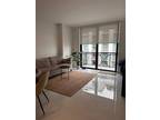 Altara Ave Apt,coral Gables, Condo For Rent