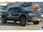 2013 Ford F-150 SVT Raptor LUXURY 4X4 / 6.2L V-8 / CLEAN CARFAX - Dallas,TX