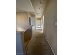 Predera Ave, Henderson, Home For Rent