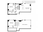 4800 Excelsior - Star Anise D3