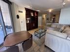N Columbus Dr Apt,chicago, Condo For Rent