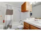Helms St Apt,austin, Condo For Rent