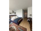 City Pt Apt Q, Brooklyn, Flat For Rent