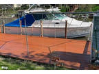 2003 Baha Cruisers SF299