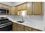 N Sheridan Ave Unit,chicago, Flat For Rent