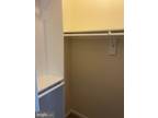 Th St Nw Apt,washington, Condo For Rent
