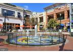 Newell St Apt,silver Spring, Flat For Rent