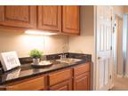 Beach Dr Apt,gulfport, Condo For Rent