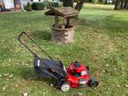 Troy-Bilt 21
