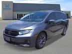 2025 Honda Odyssey Gray, new