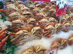 Business For Sale: Profitable Seafood Market