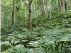 Business For Sale: Cardamom Estate For Sale In Kerala