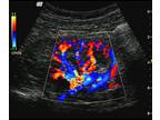 Business For Sale: Ultrasound IDTF For Sale