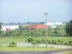 Business For Sale: Turnkey Palm Tree Business And House For Sale