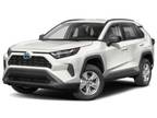 2024 Toyota RAV4 Hybrid Gray